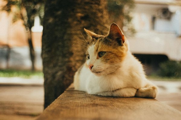 Discover the best hottest betting bonuses in the uk today!